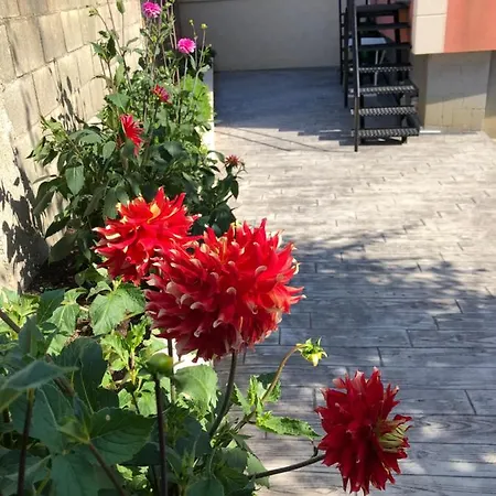 Apartament La Picota *