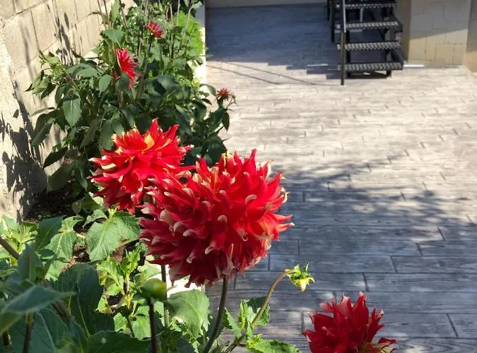 Lägenhet La Picota *